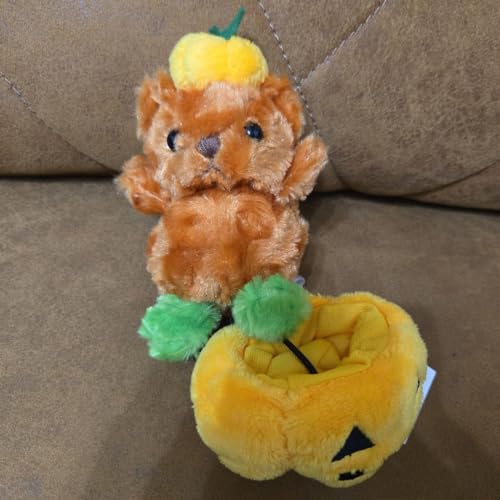 ハウステンボス ハロウィンベア 2018 カボチャン ハウステンボス ハロウィンベア 2018 カボチャン