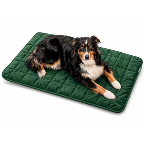 SchnauzenHaus Wasserdichte Hundedecke Auto Rückbank & Outdoor Rutschfest Waschbar Extra Robust Schutzdecke für Hunde Reisen Sofa & Kofferraum Kratzfeste & Schmutzabweisende Hundematte