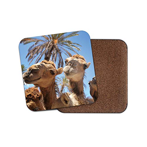 Divertido posavasos de camellos – Camel Egipto vacaciones Animal lindo regalo fresco # 8543