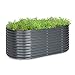 Produktbild Blumfeldt Hochbeet, Großes Kräuterbeet Einfacher Aufbau, Hochbeet Garten & Balkon, Freistehendes Gemüsebeet für Blumen, Obst & Gemüse, Hochbeet aus Metall, Gartenbeet 200 x 80 x 100 cm, Hochbeet Grau