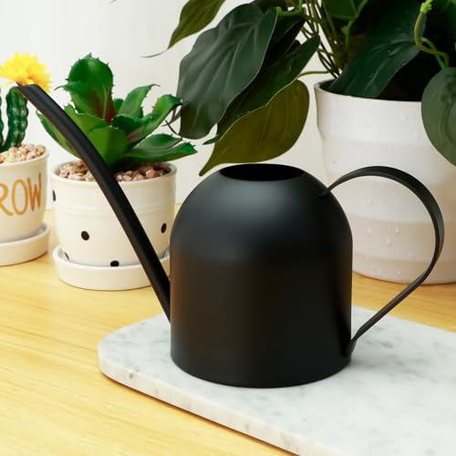 kjcbkcb Small Watering Can, 500ML Stainless Steel, Black