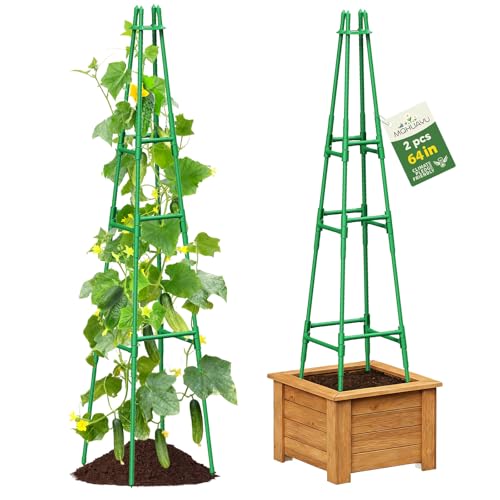 2 Pack 64 Tall Adjustable Obelisk Garden Trellis for Climbing Plants Rust-Proof Pe Coated Metal Plant Trellis Support for Raised Beds Potted Vines Cucumbers Tomatoes Indoor Outdoor Use (2 Pack)