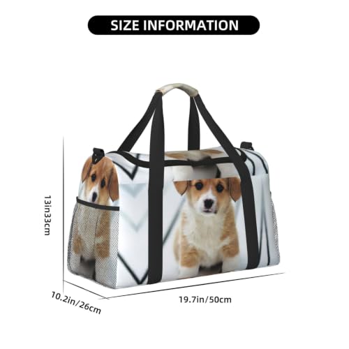 Bolsa de viaje para cachorros de alta resistencia y diseño plegable 4
