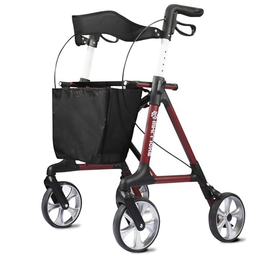 Whlicks Senior Rollator Walker (AR20)