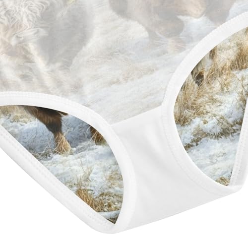 Two Highland Cows Winter Snow Toddler Girls's Underwear 2T 202b86194