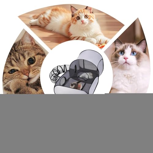 Parc pour chats portable pliable avec tunnel et jouets interactifs pour chaton