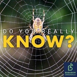 Why should you be happy to see spiders in your home? Podcast Por arte de portada