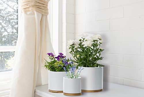 Set 3 Ceramic Plant Pots with Bamboo Coasters Indoor Planters White Pot Set Ceramic Flower Pots Containers Outdoor Large, Medium, Small with saucers (White)