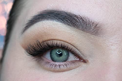 MYSALENS® Lentilles De Contact De Couleur Premium Gray Gris Naturelle très haute opacité Kit De Rangement Boitier Pince et applicateur Offert 12 Mois sans correction