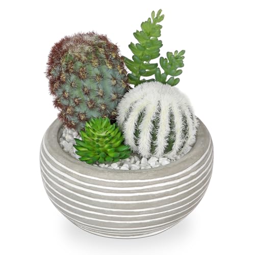 Kunstpflanze Kaktus im Blumentopf Sukkulenten Künstlich Mini Dekorative Faux Sukkulenten im Topf für Home Office Raumdekoration, Badezimmer/Wohnkultur DIY Hausdekoration Kunstpflanze Kaktus im Blumentopf Sukkulenten Künstlich Mini Dekorative Faux Sukkulenten im Topf für Home Office Raumdekoration, Badezimmer/Wohnkultur DIY Hausdekoration