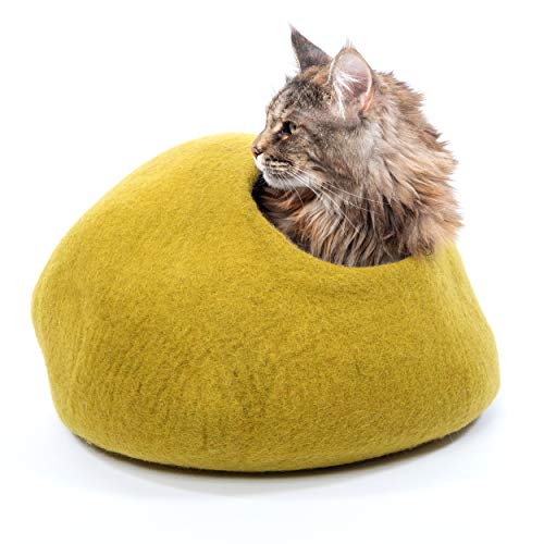 20 Best Cat Beds Doughnut, Radiator, Luxury, Heated & Enclosed Cat
