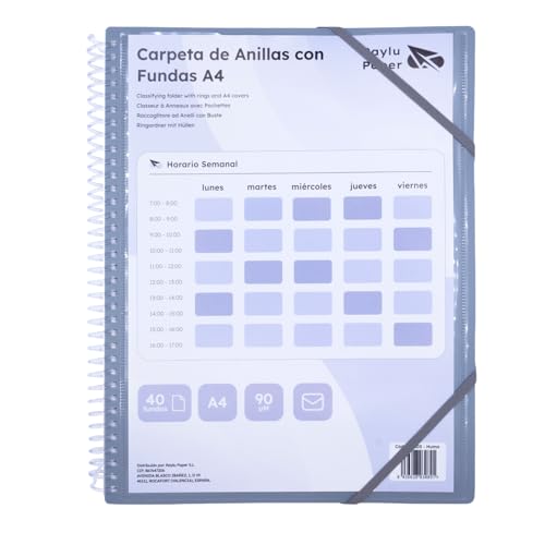 Raylu Paper - Classeur avec anneaux (fumée, 40 pochettes)