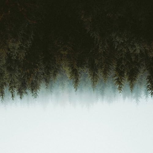 The Field Tapes, illi mel & Sunlight Jr. feat. Kyle McEvoy & Michi Oskah