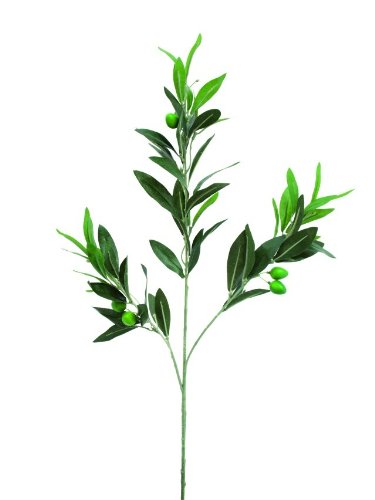 Preisvergleich Produktbild Olivenzweig mit Früchten, 6Stk., 68cm