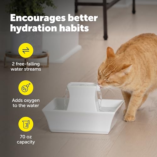 PetSafe Drinkwell Pagoda Fontaine pour animal domestique Capacité 2 l Fontaine à eau surélevée en céramique pour chat 2 niveaux de flux en chute libre, filtre à charbon et mousse inclus pour fournir – vue 4