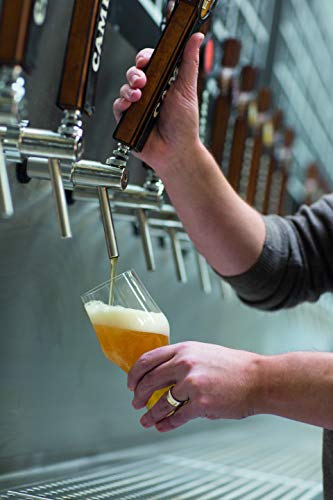 Jogo de Copos para Cerveja Stout Schot Zwiesel Beer Basic 480 ml - 6 peças