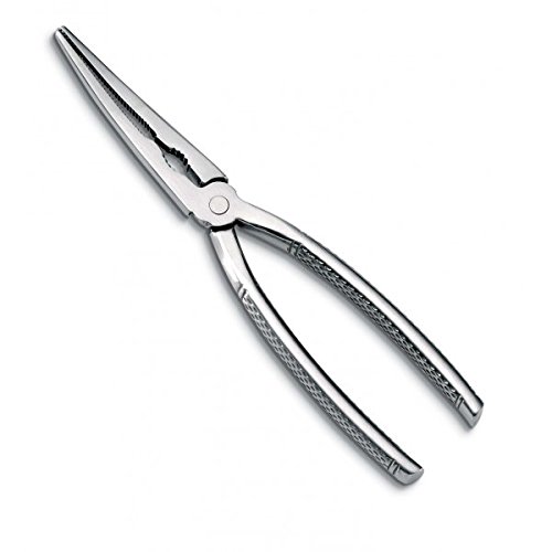 AUSONIA - 71340 Ciseaux Pince pour LANGOUSTINES ET CRUSTACÉS en Acier INOX