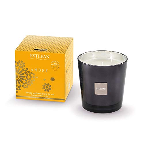 Esteban Paris Ambre Bougie parfumée 450 g (3 mèches)