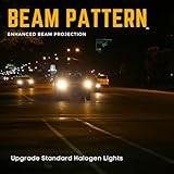 Argo H7 Headlight Bulb 100w Halogen 2500k 12v H7 477 Car Headlight Bulb High Low Dipped Main Beam Headlamp Bright Upgrade Fog Car Light Bulbs 499 PX26D Headlight Bulbs - Image 6