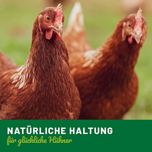 HÜHNER Land Darm Vital 500ml für Hühner – Unterstützung der Verdauung & Darmflora von Hühnern, bei Durchfall und Kokzidien beim Huhn, Stärkung von Immunsystem, Darmfunktion & Darmtrakt von Hühnern