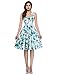 White with Blue Flower Halter Pin Up Swing Ball Dress for Women(S)