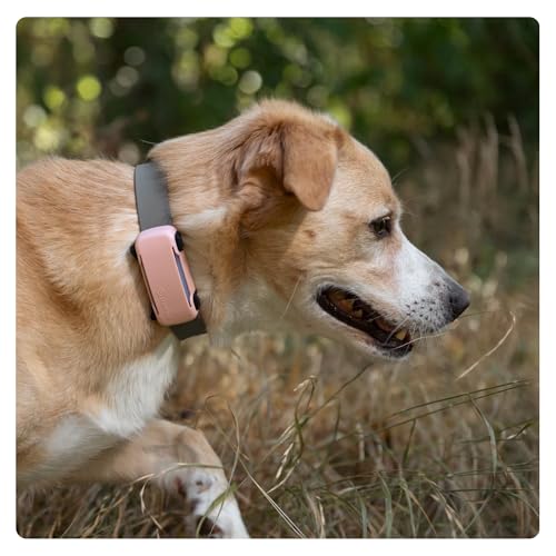 Tractive GPS Dog 6 Tracker Cover - Rosa