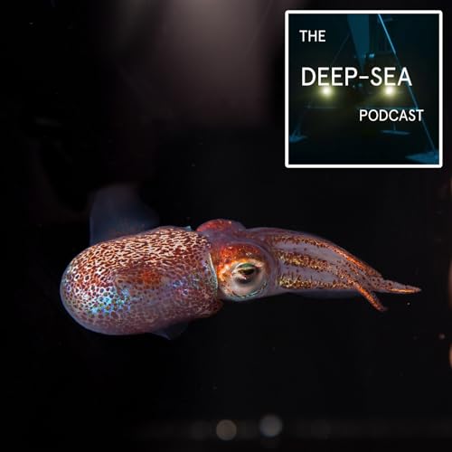 Bioluminescent Symbiosis with Margaret McFall-Ngai