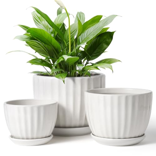 STHIE 4/5/6 Inches White Ceramic Plant Pots with Drainage Holes and Saucer