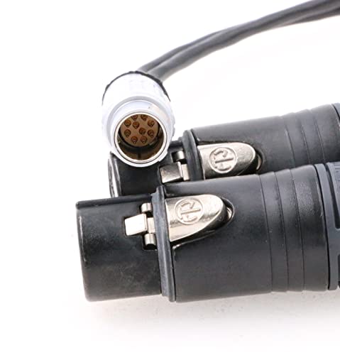 ZBLZGP Audio-Eingangskabel, 10-polig auf Dual-3-polige XLR-Buchse für Atomos Shogun Flammen-Monitor-Recorder (gerades Steckerkabel)