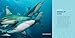Sharks for Kids: A Junior Scientist's Guide to Great Whites, Hammerheads, and Other Sharks in the Sea