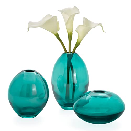 Torre & Tagus Mini Lüster Bud Vase Set für Home Office Tischdekoration, Glas, türkis, Assorted, 3 Cover