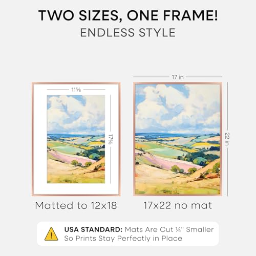 Image of Homeforia 17x22 Picture Frame Rose Gold, High End Metal 17x22 Poster Frames with Mat 12x18 Photo, 17 x 22 Rose Gold Frame Matted to 12 by 18 Print, 22x17 Thin Frame, Tempered Glass, Wall Kit, Set of 1