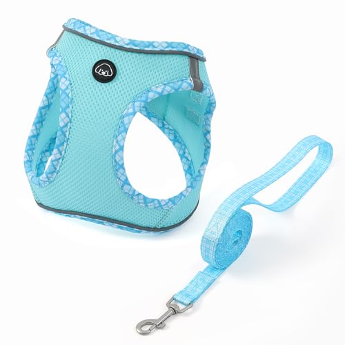 COMSLE Ensemble Harnais et Laisse pour Chien Petite Taille, Réfléchissant Respirant Mesh Doux Confort Harnais Chiot Chihuahua pour Marcher Courir, Bleu...