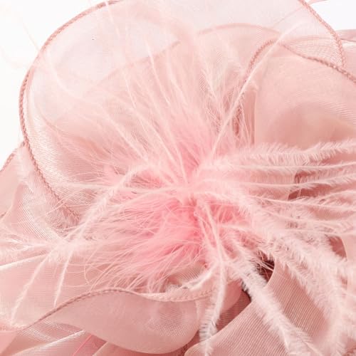 Image of DRESHOW Fascinators Hat Feather Headband Women's Fascinators Tea Party Headwear with Clip Flower Head Band for Girls & Women