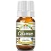 Pure Gold Calamus Essential Oil, 100% Natural & Undiluted, 10ml