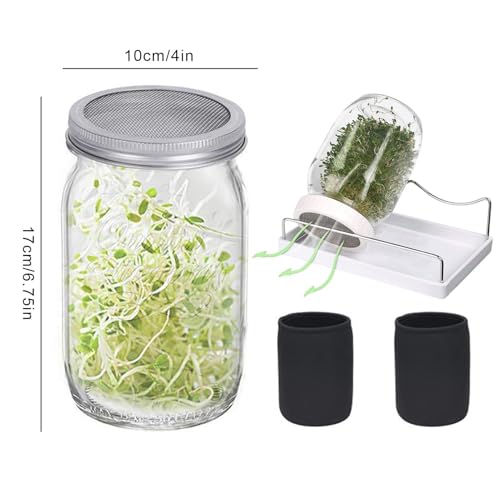 Vasos de germinación de 950 ml que solucionan el moho con drenaje limpio y bandeja 3