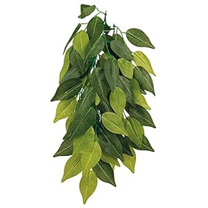 Trixie 76239 Zijden hangplant, Ficus, ø 20 × 30 cm