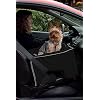 Pet Gear Lookout Booster Car Seat, Removable Comfort Pillow, Safety Tether Included, Installs in Seconds, No Tools Required