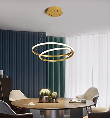 Pendentif LED Light Gold Dimmable pour Ambiance Lumineuse Variable
