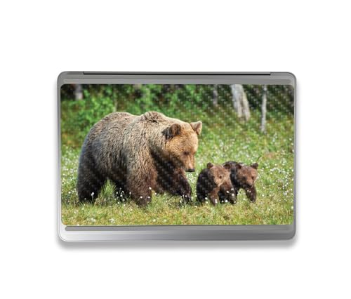 Image of MightySkins Carbon Fiber Skin Compatible with Microsoft Surface Laptop Studio 2 (2023) Full Wrap Kit - Grizzly | Protective, Durable Textured Carbon Fiber Finish | Easy to Apply | Made in The USA