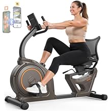 Niceday Recumbent Exercise Bike, Recumbent Bike for Home, Recumbent Stationary Bike 400LBS Weight Capacity, Magnetic Recumb