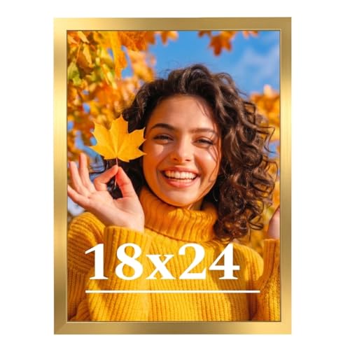 Veleclo 18x24 Picture Frame for Wall Display 18x24 Gold Picture Frame with Shatter Resistant Plexiglass Stable and Sturdy 18 x 24 Poster Frame for Wall Display Handpicked Gift Collection 1 Pack