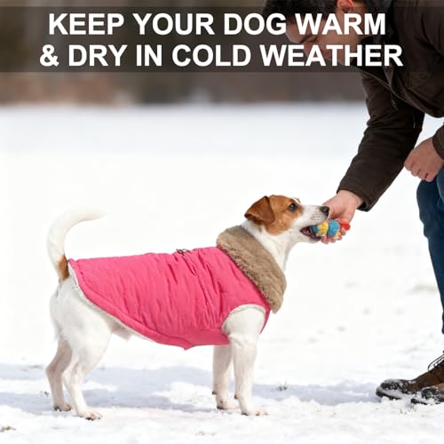 Image of BEAUTYZOO Warm Dog Puffer Jacket Vest, Dog Winter Coat with Harness, Rose L