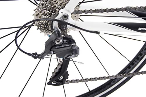 tommaso forcella endurance aluminum road bike