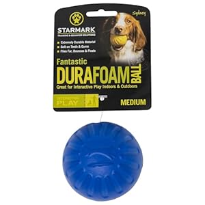   Starmark-Fantastic-DuraFoam-Ball-Tough-Dog-Toy-Color-Varies-Medium