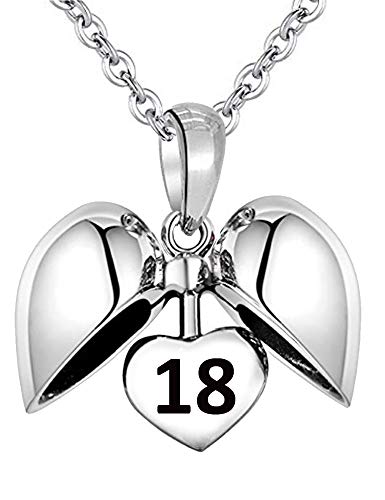 LSDesigns Celebración del 18 u00ba cumpleaños Aniversario Colgante y Collar corazón - inscrita 18 - S925 Plata esterlina Damas