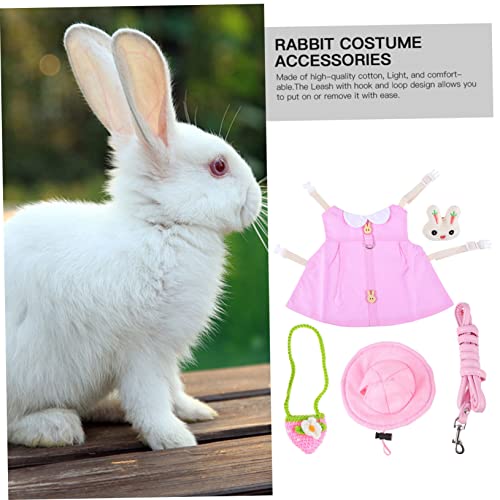 Buying Guide FOMIYES 2pcs 10 Pet Leash Outdoor Accessories Medium and