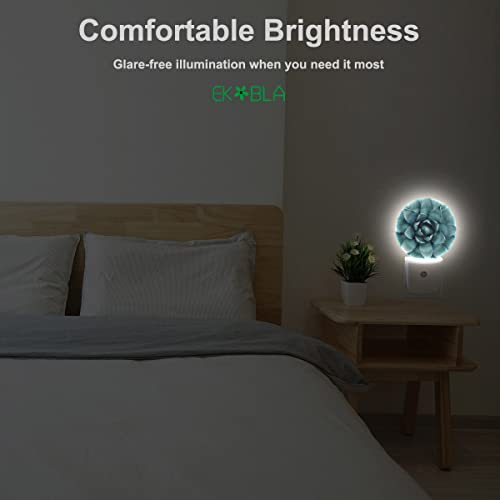 Image of EKOBLA Cactus Night Light, Green Tropical Plant Night Lights Plug Into Wall with Dusk to Dawn Auto Sensor for Bathroom, Hallway, Kitchen and Indoor Home Decor