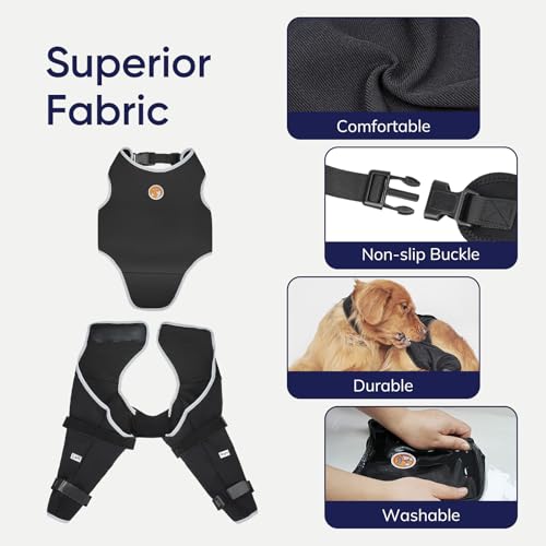 Image of Dog Knee Brace
