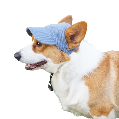 R[fCXq nbg Lbv 2type oXq  ῂy z O΍ ΍ ToCU[ 킢 AEghA ybgXq t  yAbN  v[g Mtg t`uhbO tu ^ ^